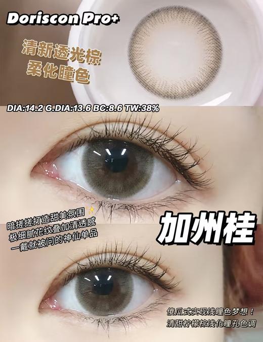 「高端美瞳 」doriscon pro+ 加州桂 棕 14.2mm 舒适度高 可素颜 年抛美瞳 含硅水凝胶 商品图5