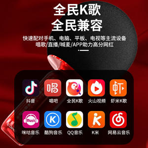 迪士尼麦克风FX-986 商品图3