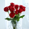 单头玫瑰随机色5枝 商品缩略图5