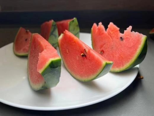 蕃田小糖丸西瓜（6枚/箱） 商品图3