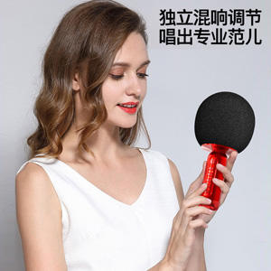 迪士尼麦克风FX-986 商品图1