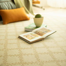 法式朱伊纹系列羊毛地毯客厅卧室复古地垫