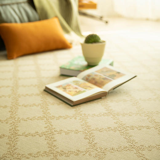 法式朱伊纹系列羊毛地毯客厅卧室复古地垫 商品图0