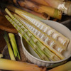 野生鲜笋  | 合作生产*Wild  Bamboo shoot | Coproduction 商品缩略图4