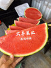 宏丰精选 美都西瓜  口感甜 西瓜味浓郁  活动价4.98元一斤 商品缩略图10