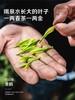 2026新茶积庆里英德红茶 • 金韵英红九号(150g) 商品缩略图3