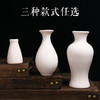 【庆学堂】素坯花瓶 书法国画创作 桌面摆件 装饰品 商品缩略图2
