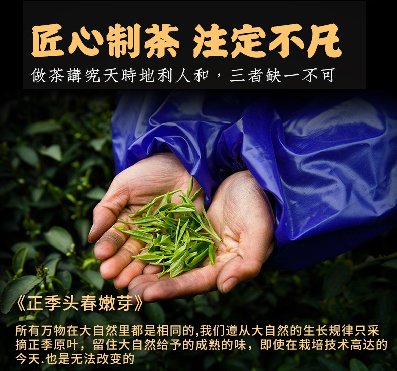 云山--四大茗茶-紫砂茶具_04