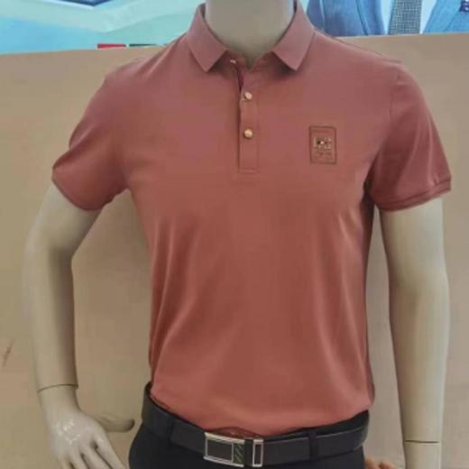 南4名鹰短袖T恤922DT7072 商品图0