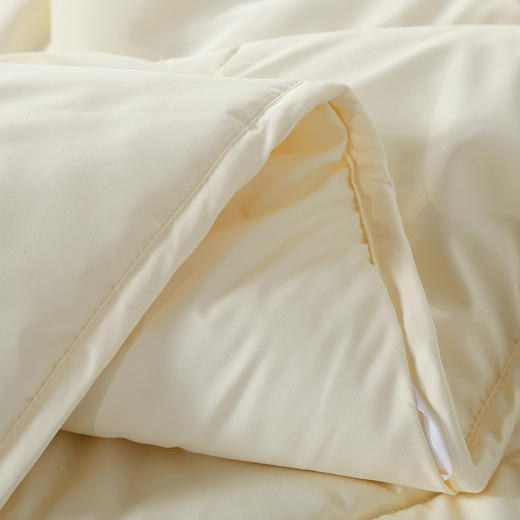 寐MINE 暖馨纤柔羊毛春秋被
1020264860 商品图3