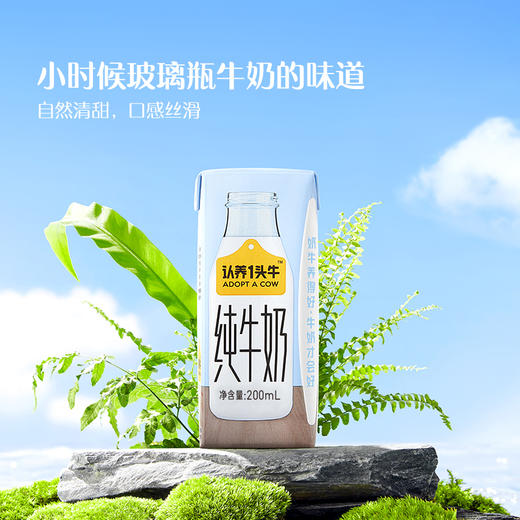 认养一头牛 纯奶200ml*10 一提装/两提装/三提装 商品图1