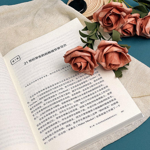 自我调节课堂 帮助学生学会学习 大夏书系 培养学习力译丛 商品图5