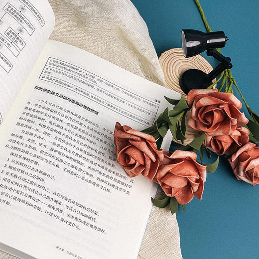 自我调节课堂 帮助学生学会学习 大夏书系 培养学习力译丛 商品图6