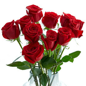 单头玫瑰随机色5枝