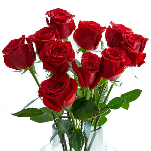 单头玫瑰随机色5枝 商品图0