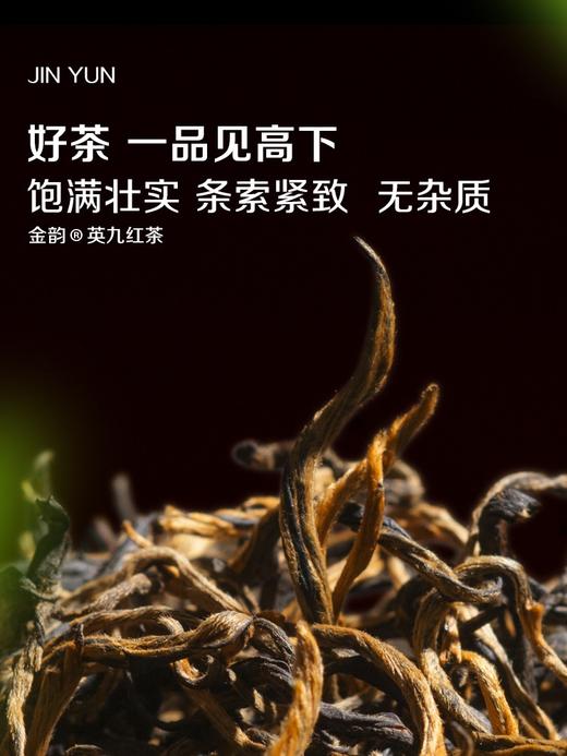 2026新茶积庆里英德红茶 • 金韵英红九号(150g) 商品图4