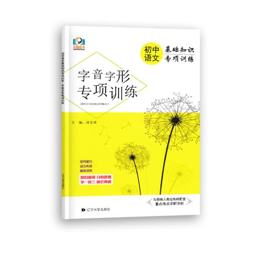 初中语文基础知识专项训练字音字形专项训练 商品图0