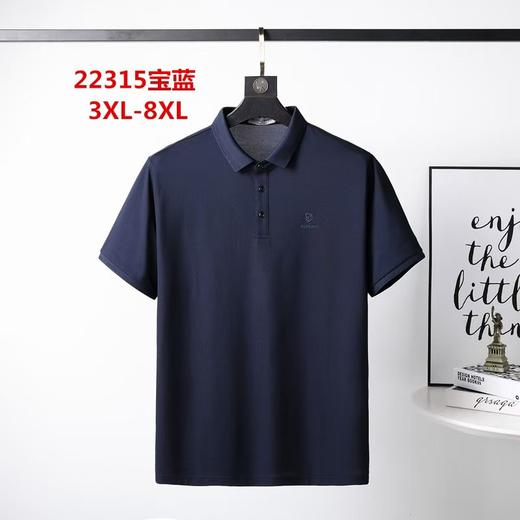 男反领短T22315 商品图0