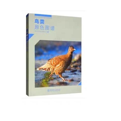 鸟类原色图鉴 商品图0