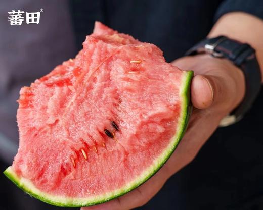蕃田小糖丸西瓜（6枚/箱） 商品图0