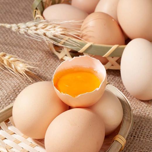 TY（分3个包裹） 裕道府稻香鲜米5kg （单层真空装）*2+塞翁福 四季谷物1600g/盒 +王明公农场现拣土鸡蛋30枚【鲜享2.0】 商品图1