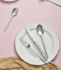【团购展示】DESLON嘉悦不锈钢餐具四件套DFS-TZ019-4A 商品缩略图0