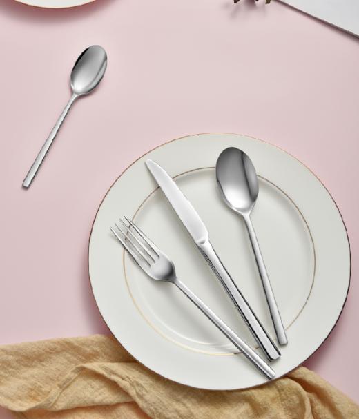 【团购展示】DESLON嘉悦不锈钢餐具四件套DFS-TZ019-4A 商品图0