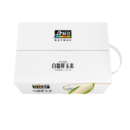 北纬47度 白糯鲜玉米200g*10穗/盒 商品图3