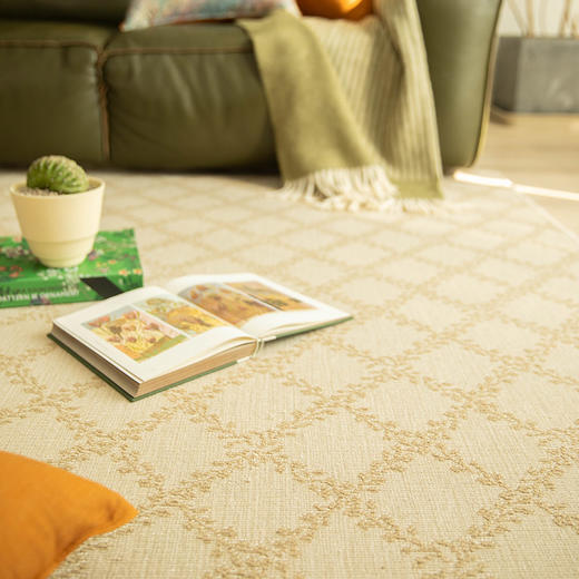 法式朱伊纹系列羊毛地毯客厅卧室复古地垫 商品图3