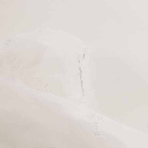 【马克珍妮 芦芙】新款夏装 中国风刺绣网纱连衣裙230725 商品图5