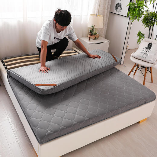 【床上用品】-家用垫被褥子加厚褥子垫双人1.8m2m床垫子 商品图1