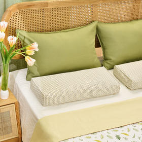 樱桃茉莉系列荞麦壳长方枕高端全荞麦壳护颈枕