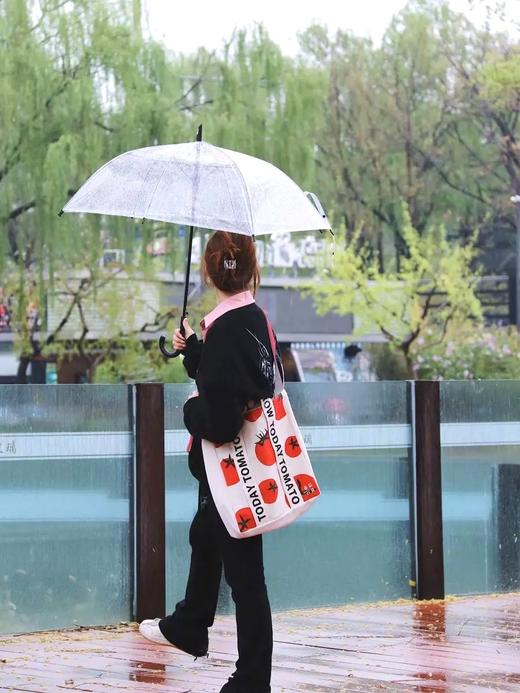 番茄口袋原创设计托特包 商品图1