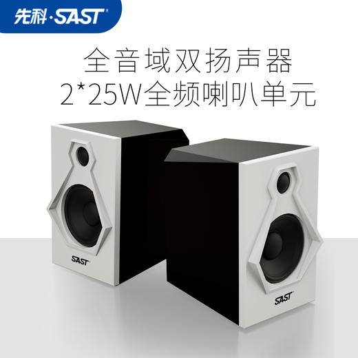 先科SAST 黑胶唱片现代客厅蓝牙音响留声机 WY-011一体組合音响套裝 商品图2