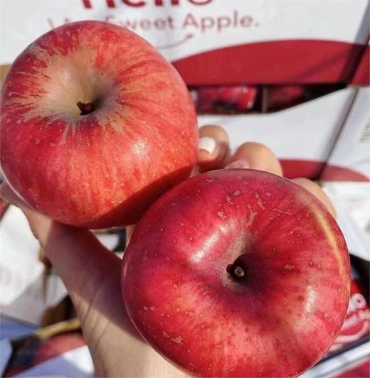 农夫嗨乐苹果 |水果 商品图3