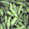 【排单发货】生态带皮蚕豆/胡豆（农场直发-顺丰包邮）｜3斤/5斤装，成都郫都区基地，【原乡农场，自产自销】 商品缩略图6