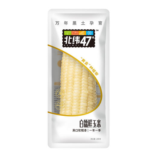 北纬47度 白糯鲜玉米200g*10穗/盒 商品图0