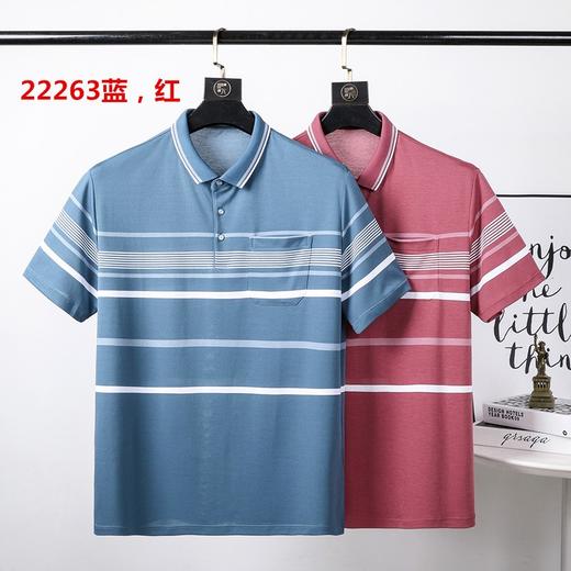 男反领短T22263 商品图0