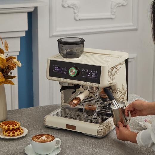 马克西姆鲶鱼 绮梦宝境联名款 意式浓缩咖啡机 全半自动家用小型一体机 商品图2