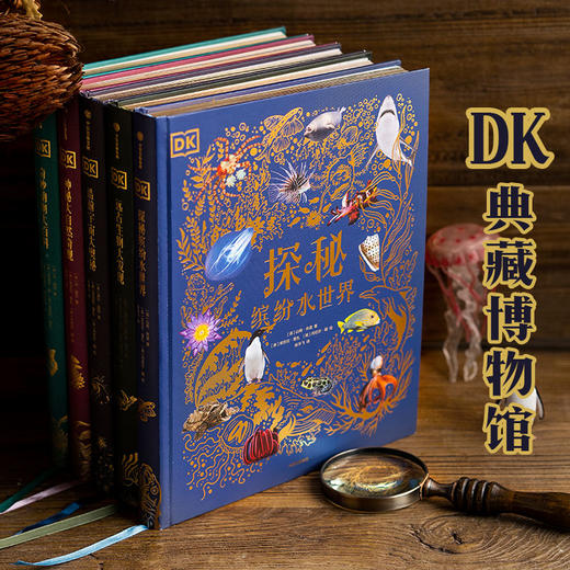 DK典藏博物馆 2023年精美书匣版 全5册 赠送贴纸 7-10岁 本·霍尔 等著 科普百科 商品图1