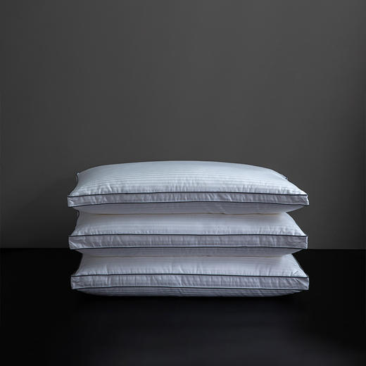 罗莱家纺全棉提花抗菌柔丝枕 商品图0