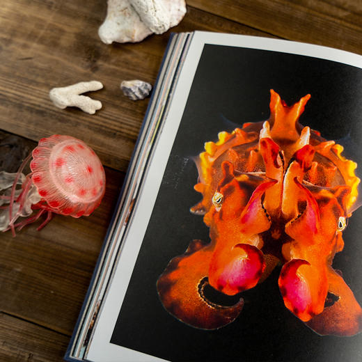 DK探秘缤纷水世界 商品图1