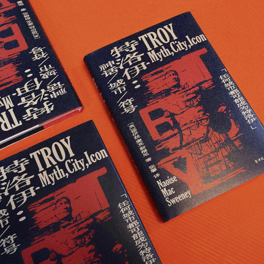 特洛伊 : 神话、城市、符号 商品图2