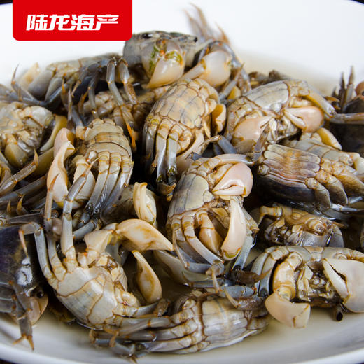 8007陆龙兄弟300g3A白玉蟹 商品图2