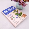 伤寒论 白话彩图典藏版 商品缩略图2