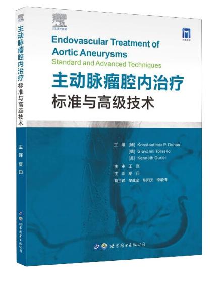 主动脉瘤腔内治疗：标准与高级技术 商品图0