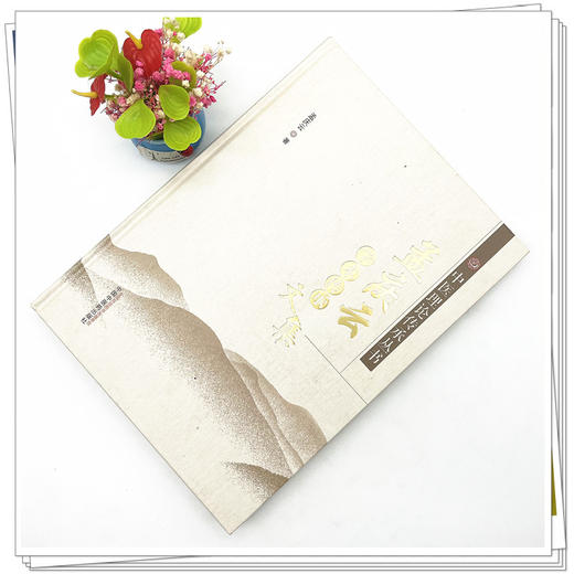 孟庆云学术传承文集  孟庆云 著 中医理论传承丛书 中国中医药出版社 老中医经验集书籍 商品图2