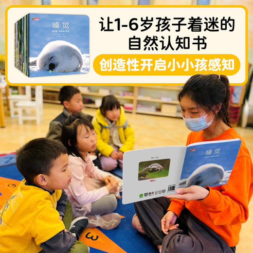 我的第一套自然认知书（新版大开本全20册） 商品图2