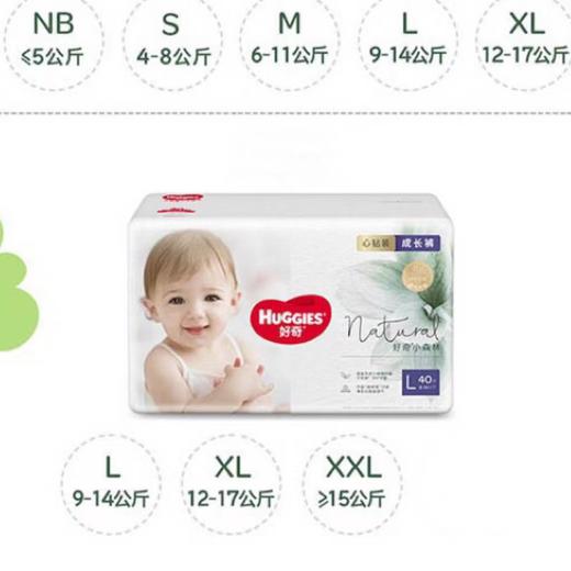 【2包装】好奇心钻小森林系列(旗舰店版) 商品图4