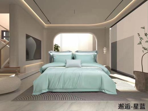 富丽岛家纺天丝绣花四件套邂逅 商品图3